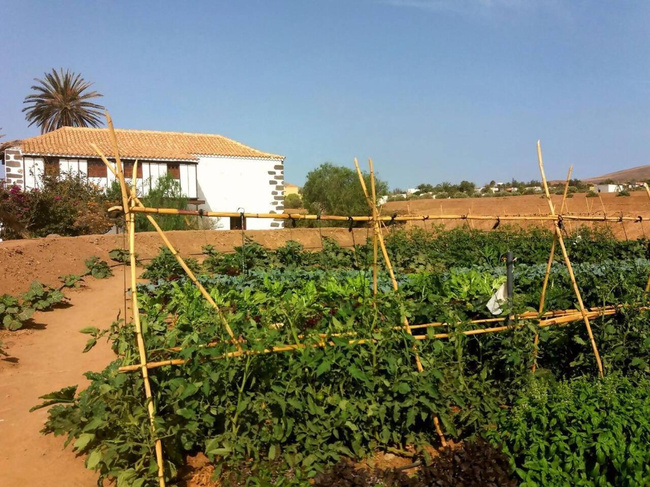 הוילה פוארטו דל רוסריו Rural Rugama מראה חיצוני תמונה