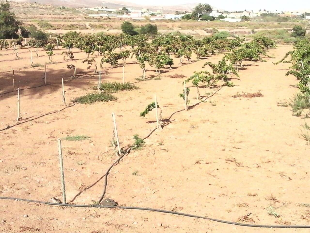 הוילה פוארטו דל רוסריו Rural Rugama מראה חיצוני תמונה